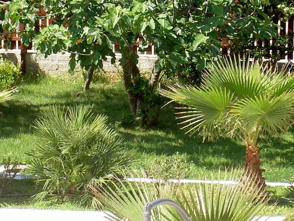 Baia del Sole Paestum Exterior foto